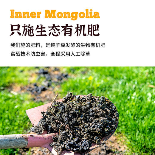 皇栖谷富栖黄小米扎赉特旗产浓稠辅食金黄米粥 商品图4