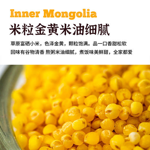 皇栖谷富栖黄小米扎赉特旗产浓稠辅食金黄米粥 商品图2
