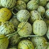 [最农公社]辽宁花美人蜜罐甜瓜3斤/4.5斤（收到放几天再冷藏更甜） 商品缩略图3