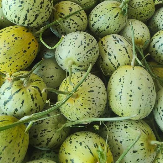 [最农公社]辽宁花美人蜜罐甜瓜3斤/4.5斤（收到放几天再冷藏更甜） 商品图3