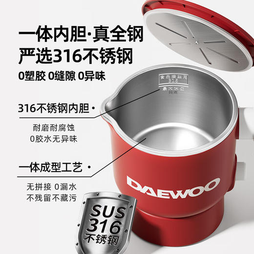 大宇电热水壶S32 商品图0