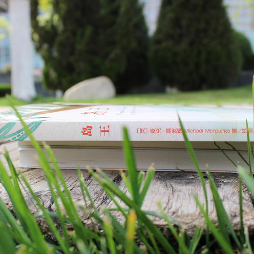 岛王：一段传奇的友谊！冒险小说 。梅子涵、语文报小学版主编、北京四中语文高级教师倾情推荐。 商品图8