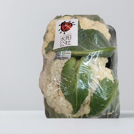 太阳公社有机花菜 500g/份 商品图0