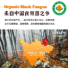 【有机黑木耳】四川山林养肉厚软糯木耳 商品缩略图1