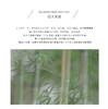 【🎁3.1-3.9有微店订单，没有单不发货哦！！】38女神节🎁抽奖【翠竹胸针】#清雅竹子胸针「翠竹」,清新翠绿,明亮润泽 商品缩略图1