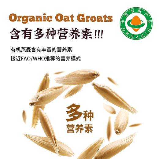 凤禾鸣·有机燕麦米｜内蒙古天然饱满生态五谷杂粮饱腹代餐浓郁早餐 商品图2