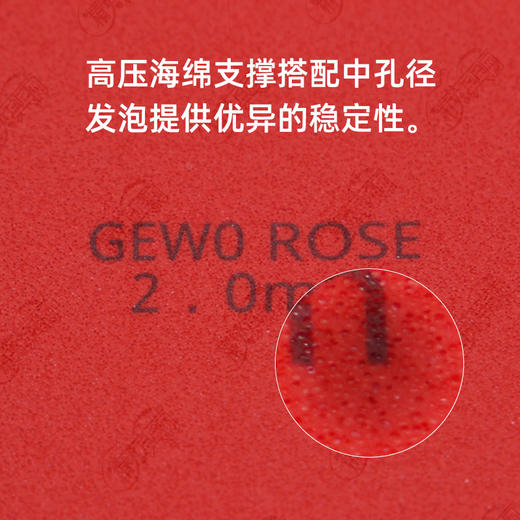 GEWO杰沃蔷薇正胶捷沃专业乒乓球胶皮正胶套胶国家队王添艺同款正胶 商品图2