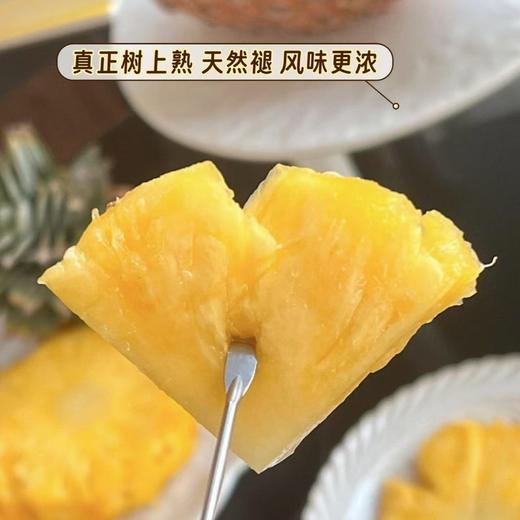 【芒果凤梨】真正树上熟的凤梨,一口咬下去，嘴里就被果肉和果汁填满90%的可食用率,它历经600多天才成熟!吃起来是凤梨界望尘莫及的19度+高甜! 商品图3