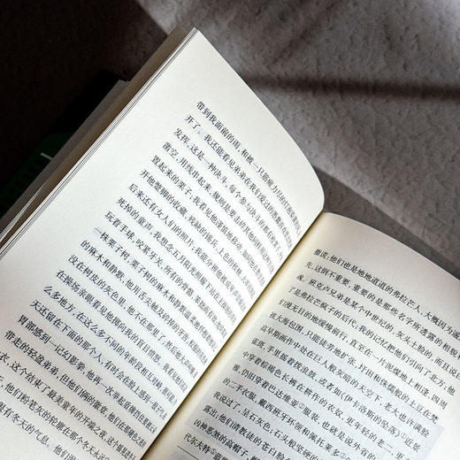 微渺人生 传记式虚构系列 皮埃尔·米雄成名作 法国文学 六点图书 商品图10