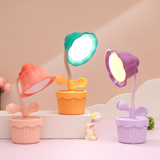 【可爱小花花❗️高颜值の小台灯】治愈暖光，温馨氛围感，柔光桌面摆件，支持电脑USB，充电宝，电源插头充电款室内便携床头灯花盆 商品图1