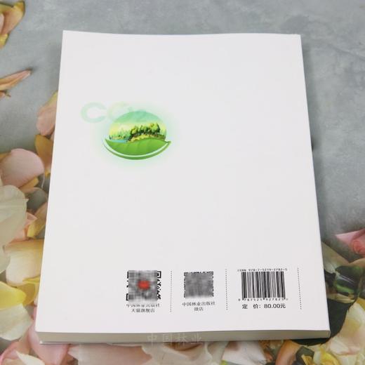 林业碳汇法律问题研究 &2782 商品图4