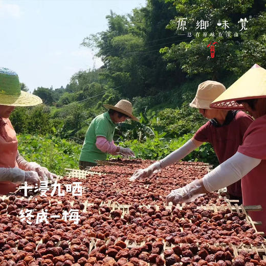 梅什么生态话梅（成都仓库-顺丰快递） | 180g/袋，来自广东广州从化，生产者：李洁【合作生产，公平贸易】 商品图2