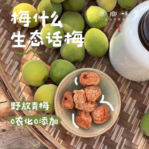 梅什么生态话梅（成都仓库-顺丰快递） | 180g/袋，来自广东广州从化，生产者：李洁【合作生产，公平贸易】 商品图0