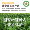 2025有机玉米花青甜|山西农科院香甜水果爆浆软糯农产品真空10根装4.4斤 商品缩略图1