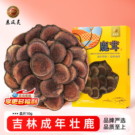 【鹿茸片】10g/袋粉片/血片/白沙片/半腊片 精选吉林成年壮鹿 蜂窝明显 品质上乘 商品图0