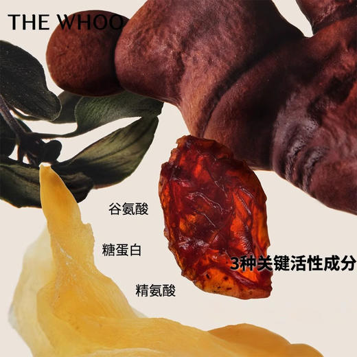 Whoo后拱辰享新版-PRO水乳霜三件套 滋润补水保湿清爽平衡水乳面霜 商品图3