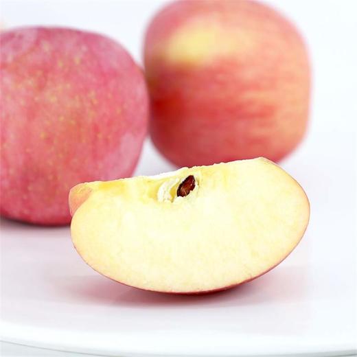 【MDL】都乐富士苹果1.3kg 商品图3