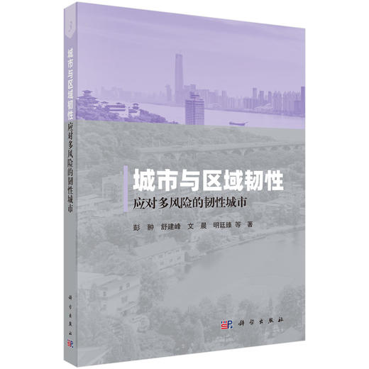 城市与区域韧性——应对多风险的韧性城市 商品图0