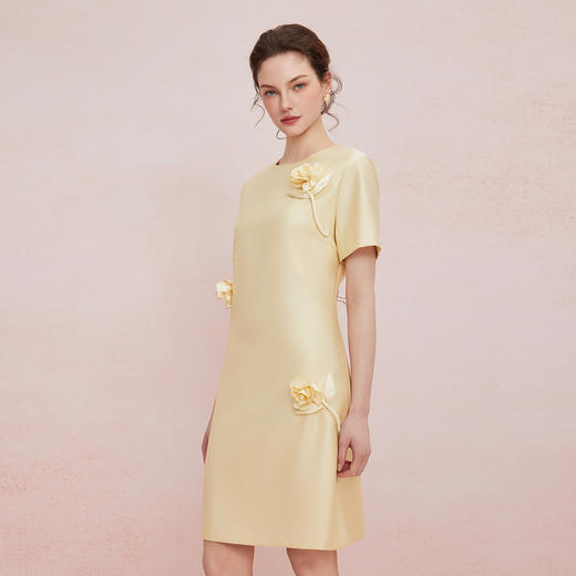 QF860斯尔丽2025夏季新款立体盘花直身显瘦圆领宴会小礼服连衣裙 商品图7