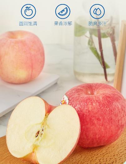 【MDL】都乐富士苹果1.3kg 商品图5