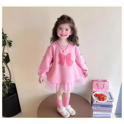 裁缝学苑TQ161女童连衣裙新款洋气时髦高级女孩宝宝儿童春装公主裙子 商品图5