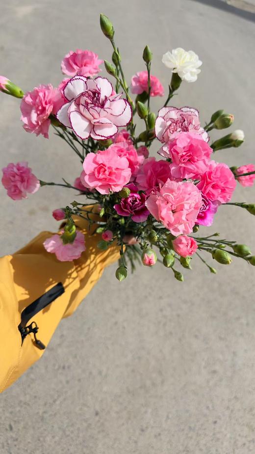 家庭插花一大瓶 商品图5