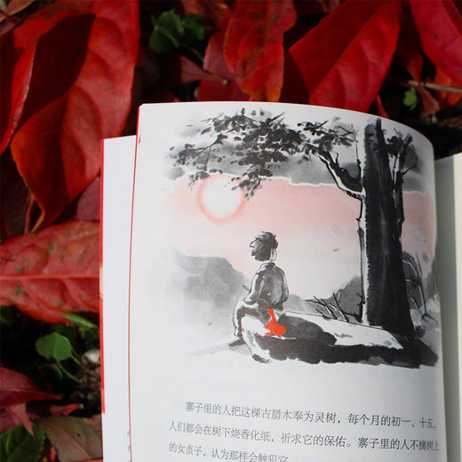 【独秀书香卡】魔法象·故事森林  唢呐上的红飘带 8~14岁及以上 儿童小说 儿童文学 商品图6