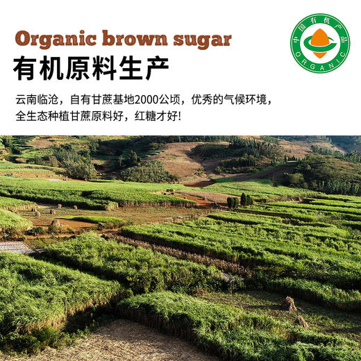 【包邮】云南古法有机红糖500g|正宗高原产纯甘蔗熬制健康饮品 商品图1