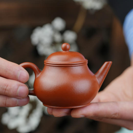 暗香疏影/孟臣小品/芭乐水平/老朱泥壶 商品图4