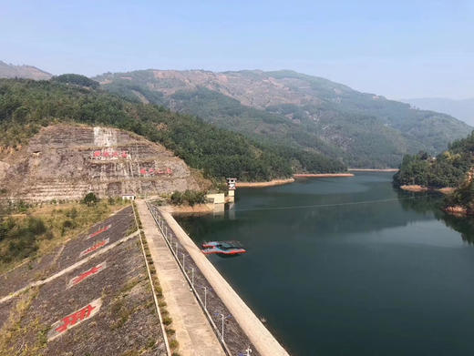 2025冰岛老寨357克春茶 商品图2