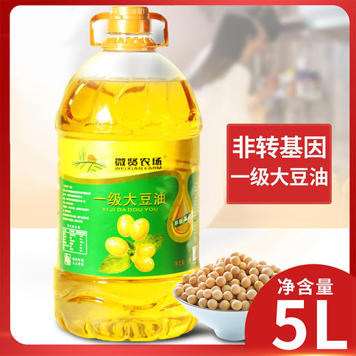 5L装东北一级非转基因大豆油 商品图0