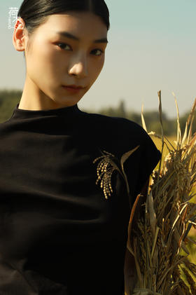 荷木HEMU丨金禾·T恤衫