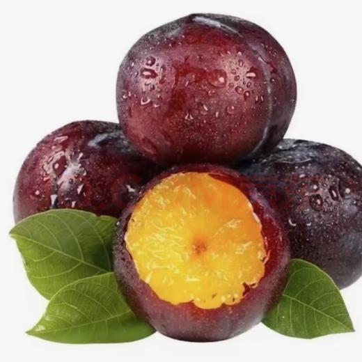 新鲜水果 脆甜紫金蜜李 500g 商品图0