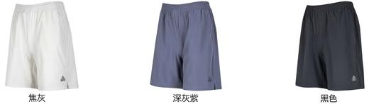 匹克2025年新款训练跑系列男款梭织短裤F3252021 商品图0