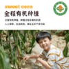 2025有机玉米花青甜|山西农科院香甜水果爆浆软糯农产品真空10根装4.4斤 商品缩略图4