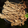五峰晒干高山云雾茶树菇250g/袋 商品缩略图0