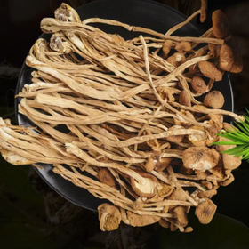 五峰晒干高山云雾茶树菇250g/袋