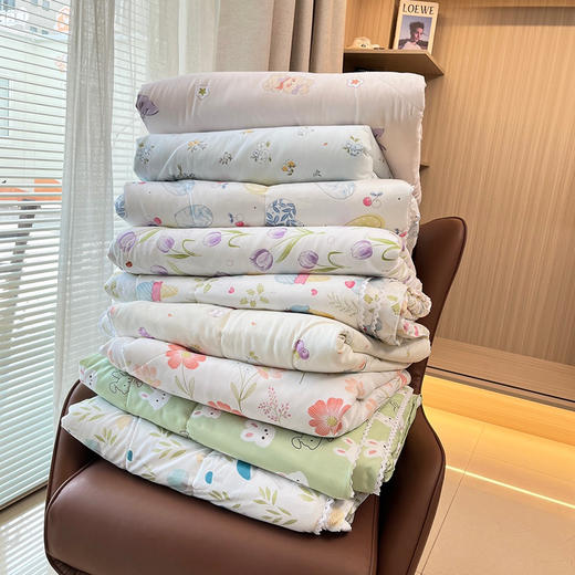 3斤夏凉被空调被 商品图0