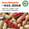 【有机四粒红花生】800g/袋 内蒙古产清甜脱壳红皮花生粒 商品缩略图1