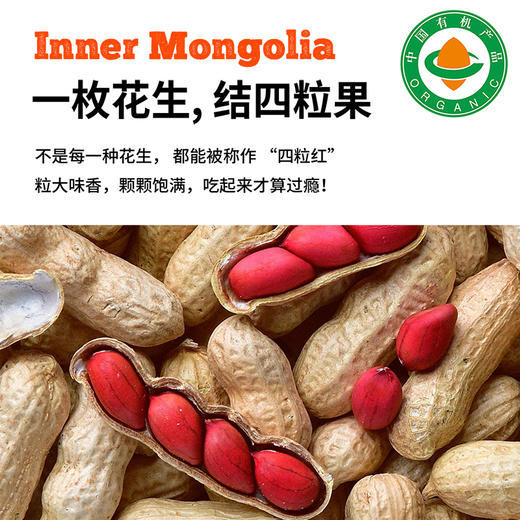 【有机四粒红花生】800g/袋 内蒙古产清甜脱壳红皮花生粒 商品图1