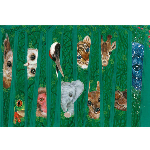 神秘岛  我的眼里有片森林   刘奔 著  薛紫琼 绘  荣获2021BIBF菠萝圈儿国际插画奖“中国原创奖” 商品图2