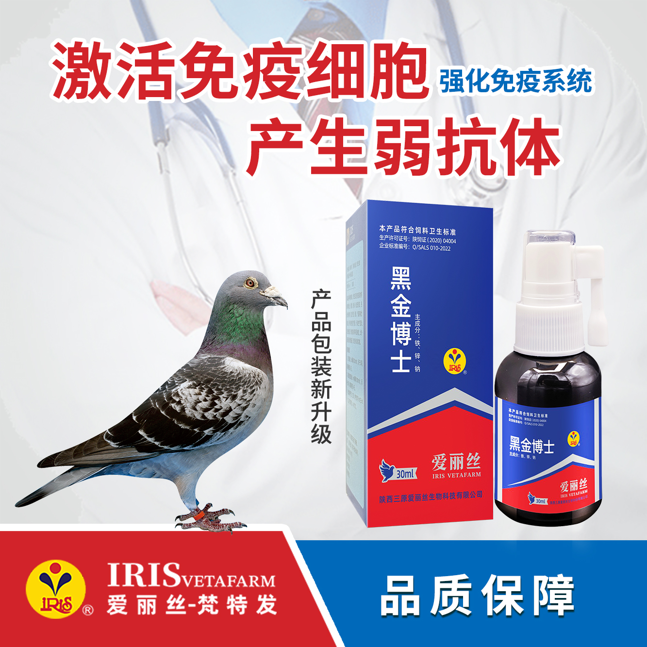 【爱丽丝】黑金博士