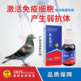 【爱丽丝】黑金博士