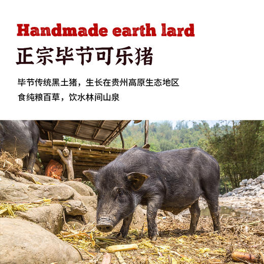 贵州高山土猪油400g|正宗毕节可乐猪炒菜拌面饭起酥油烘焙食用油 商品图1