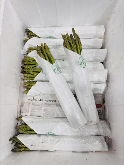 芦笋一捆 商品图1