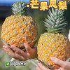 【芒果凤梨】真正树上熟的凤梨,一口咬下去，嘴里就被果肉和果汁填满90%的可食用率,它历经600多天才成熟!吃起来是凤梨界望尘莫及的19度+高甜! 商品缩略图2