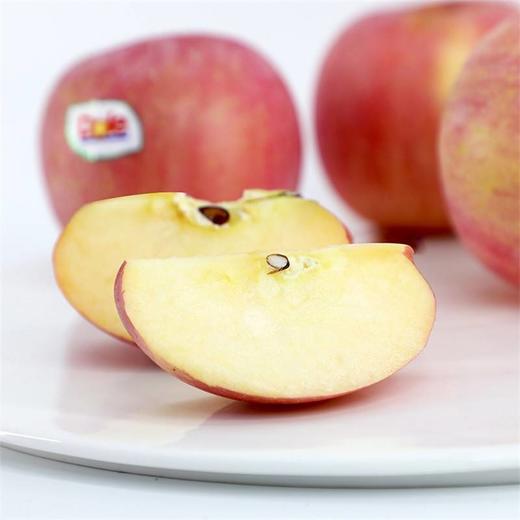 【MDL】都乐富士苹果1.3kg 商品图4