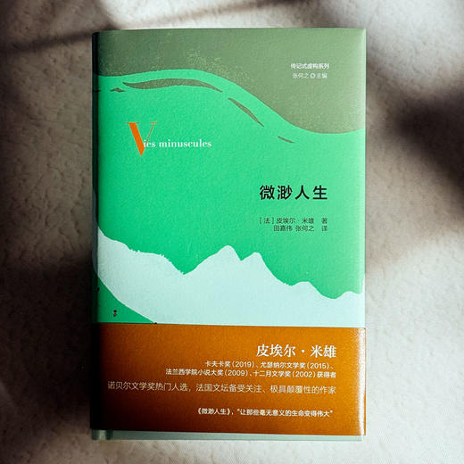 微渺人生 传记式虚构系列 皮埃尔·米雄成名作 法国文学 六点图书 商品图1