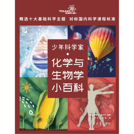 少年科学家  化学与生物学小百科 商品图7