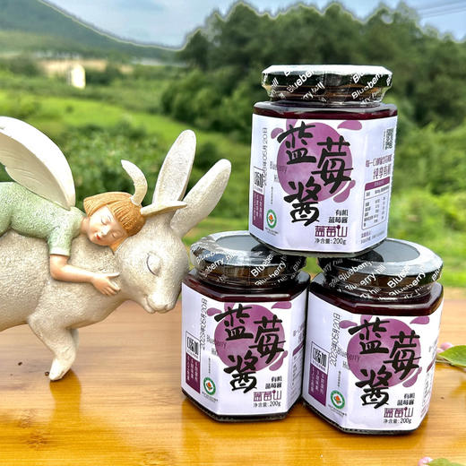 蓝莓山|有机蓝莓酱200克早餐涂抹面包沙拉拌酸奶有机认证蓝莓酱 商品图1